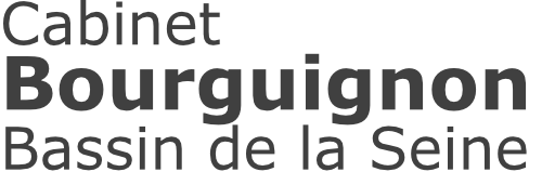 Logo S.A.S. Cabinet Bourguignon Bassin de la Seine